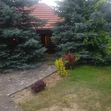 Babie Lato . Brudnow